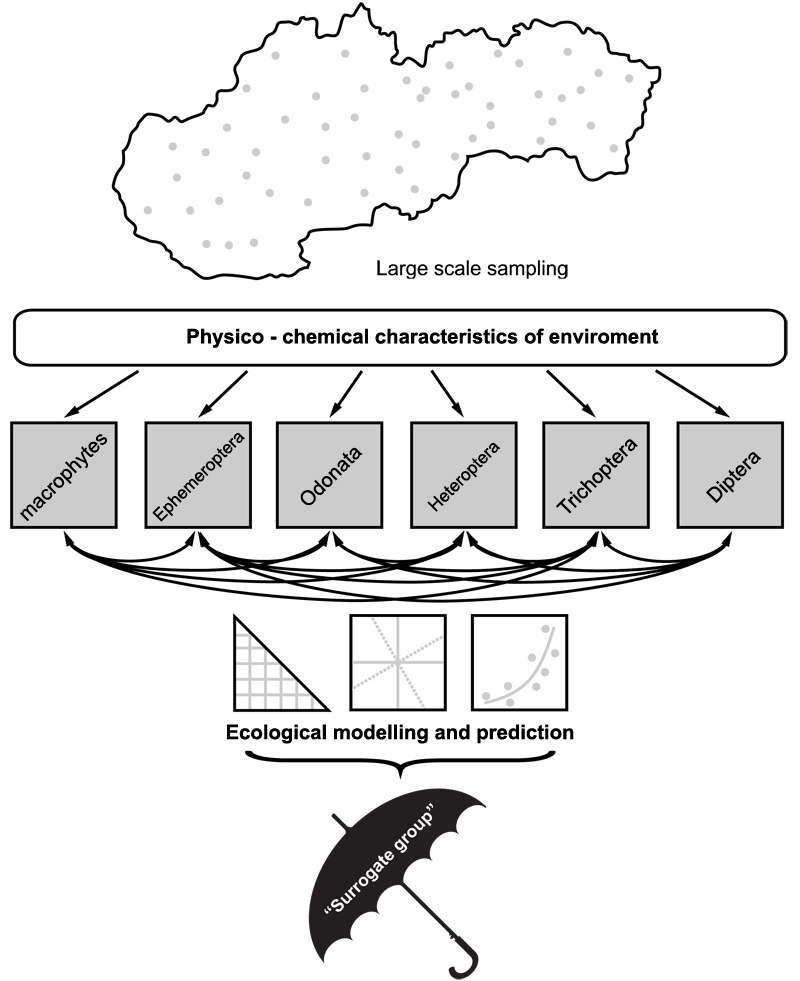 scheme - fig.1